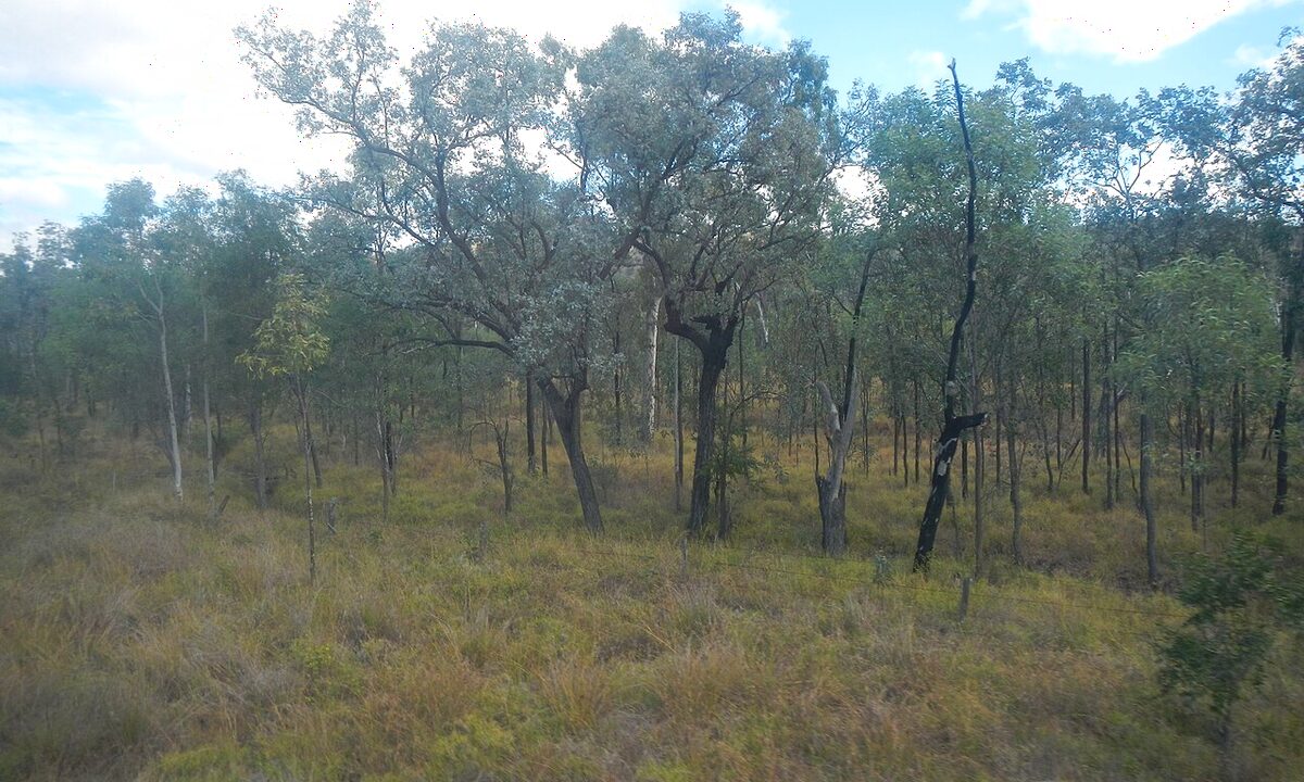 Central Queensland outback near Clermont